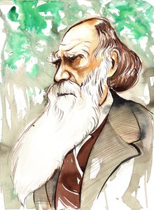 Charles Darwin (englannin luonnontieteilijä ja kirjailija, 1809-82) muotokuva